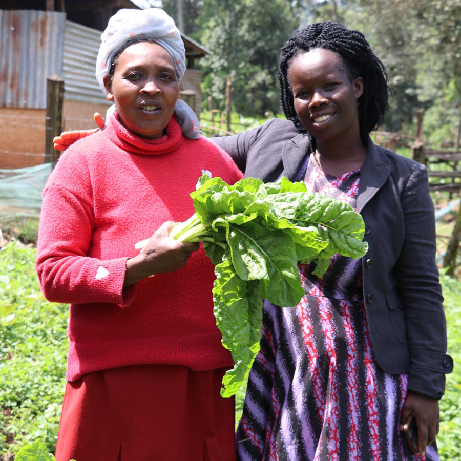 community-health-tenwek-hospital-crop
